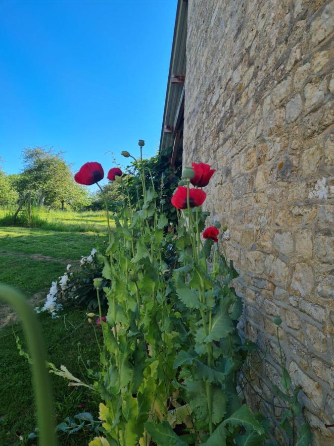 Domaine De La Cour Vautier Bed & Breakfast Mandeville-en-Bessin Exterior photo