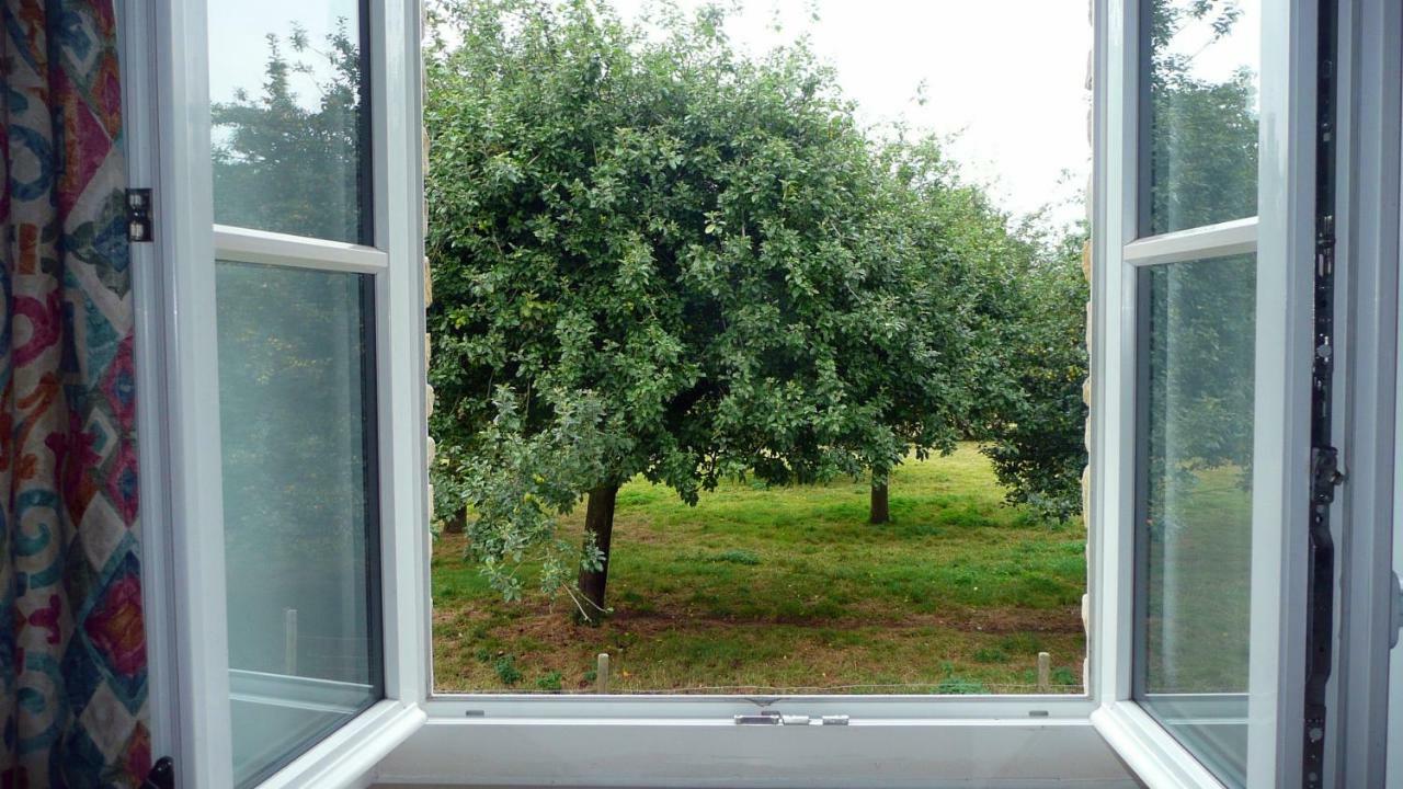 Domaine De La Cour Vautier Bed & Breakfast Mandeville-en-Bessin Exterior photo